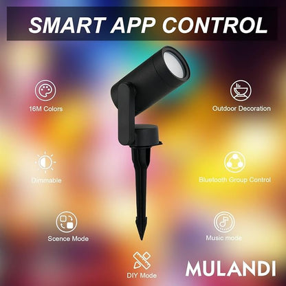 Smart RGBW-Multicolor