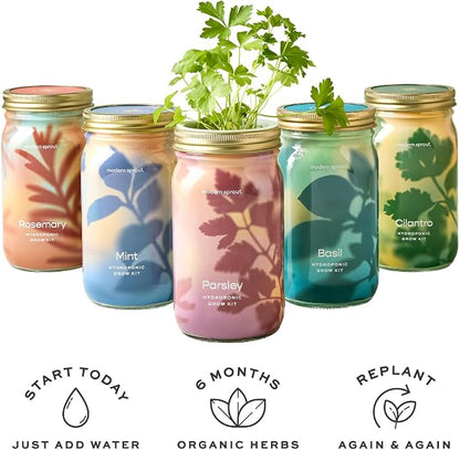Basil+rosemary
