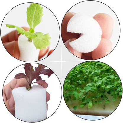 Whitex3pcs