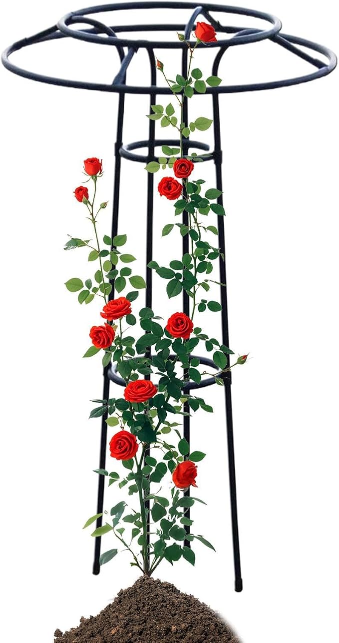 105cm