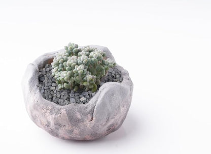 Black Lava Rocks