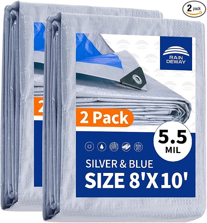 Silver/Blue