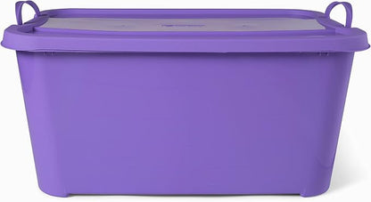 Solid Purple