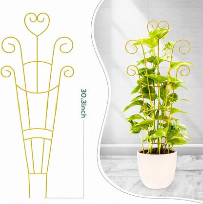 Golden-2pcs
