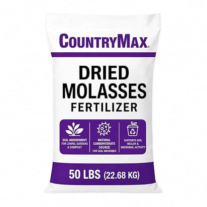 Dried Molasses