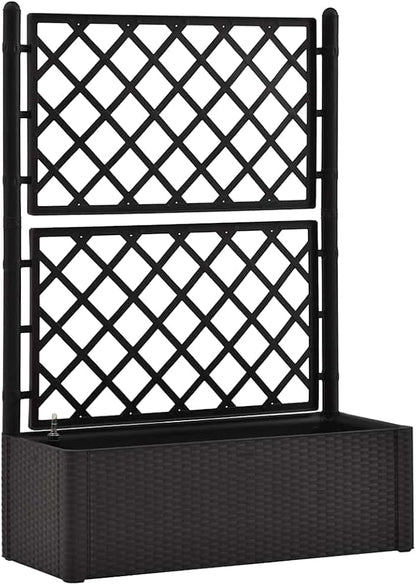 Anthracite