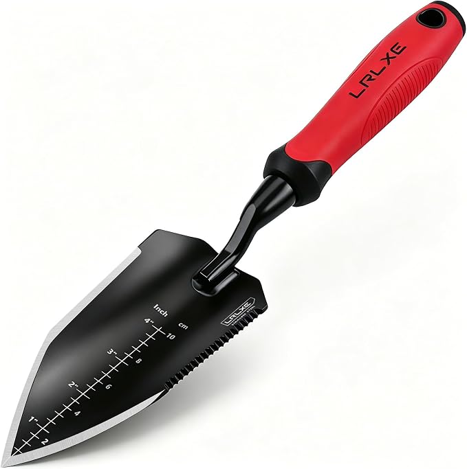 Black-red