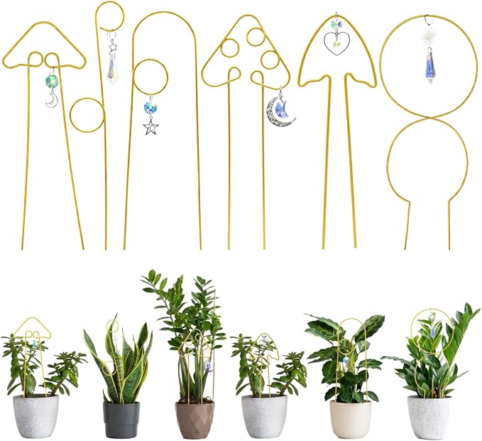 6Pcs-Mix