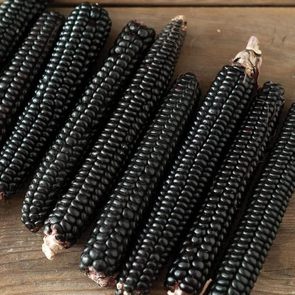 Black Corn