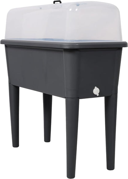 A1