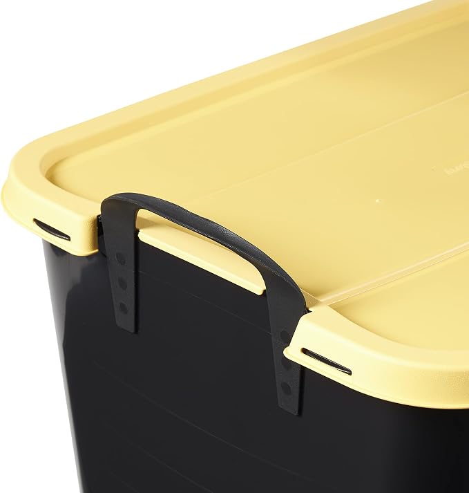 Black/Yellow