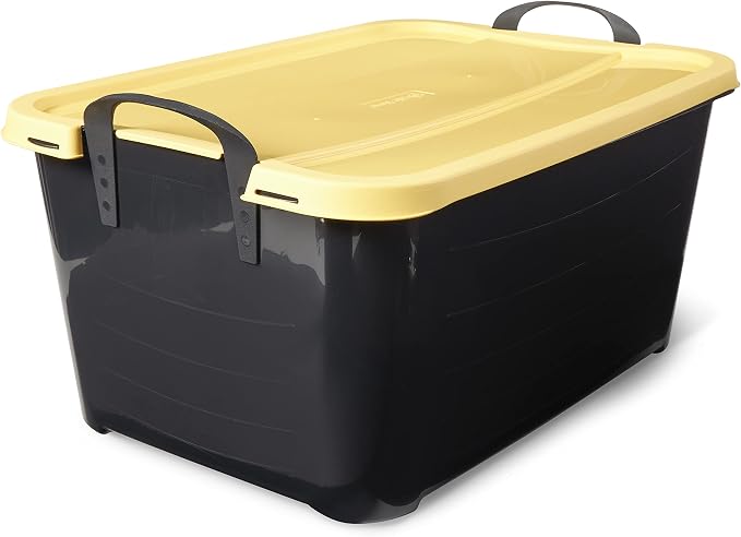 Black/Yellow