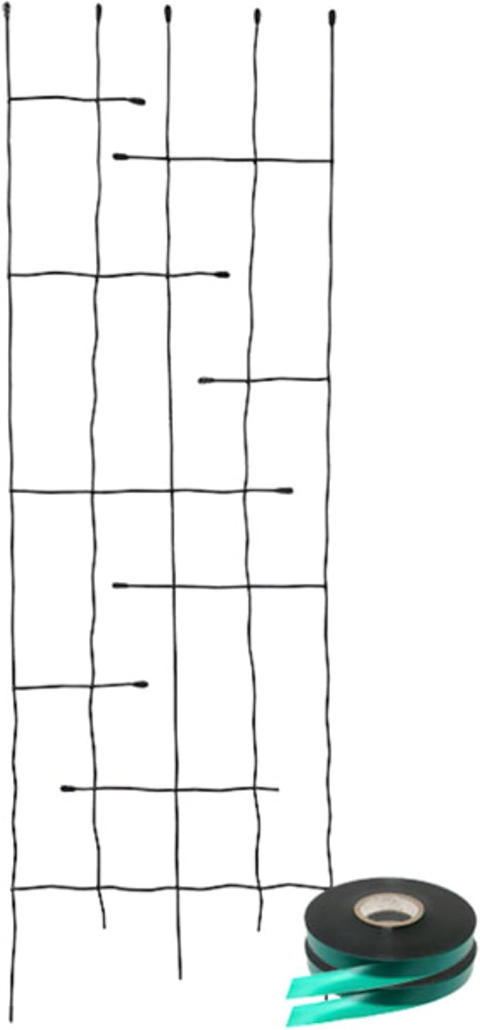 __DEFAULT__