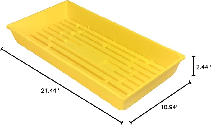 Yellow 5 Pack