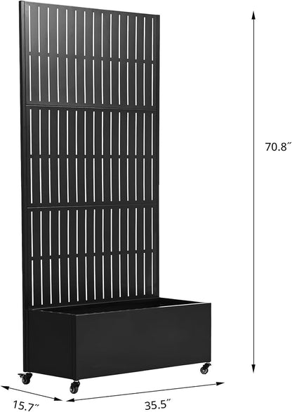 Black-fence