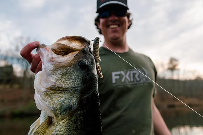 Gizzard Shad