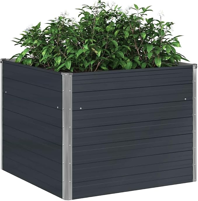 Anthracite