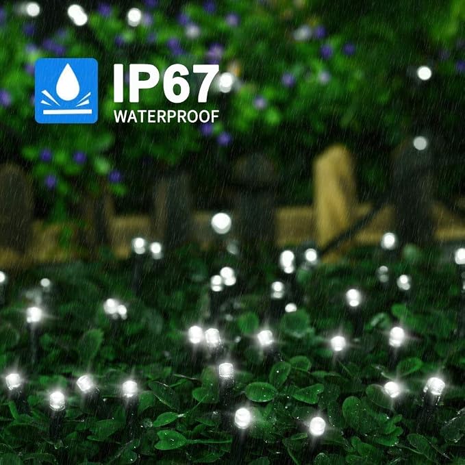 800LED Cool White