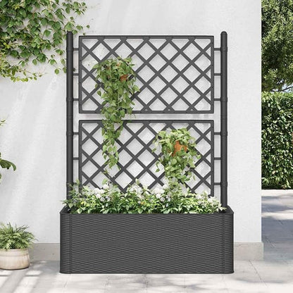 Anthracite