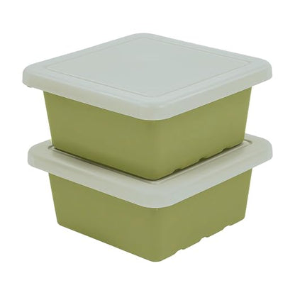 Fern Green