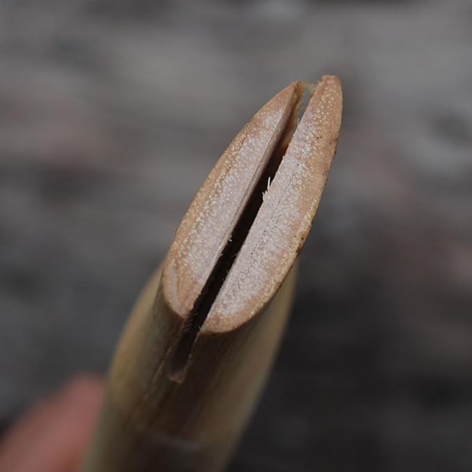log color