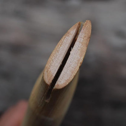log color
