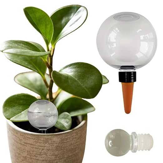 Transparent 1pcs
