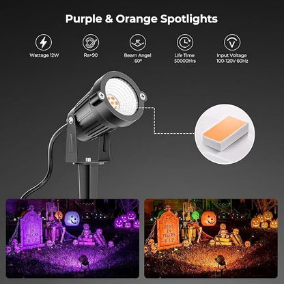 Purple & Orange
