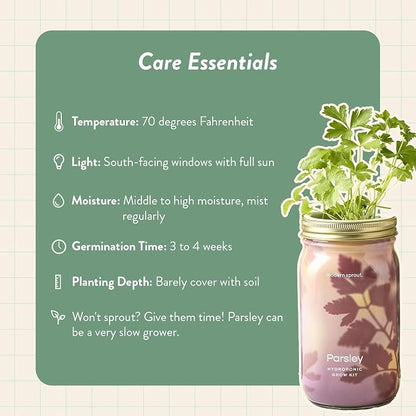 Rosemary & Parsley