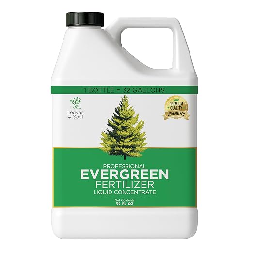 Evergreen Tree