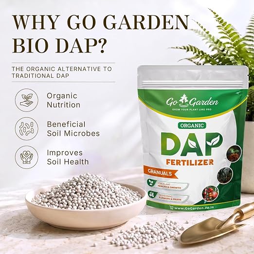 DAP