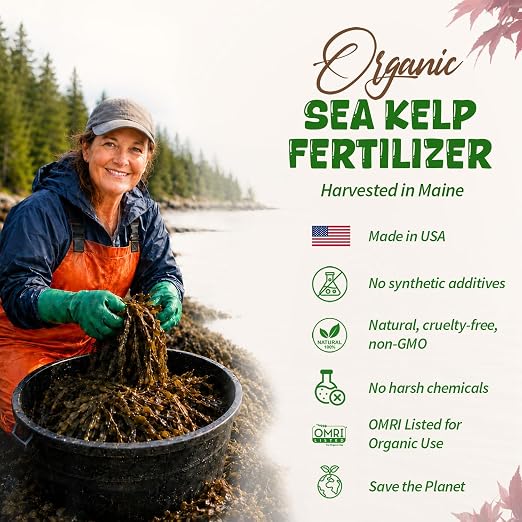 Japanese Maple Fertilizer