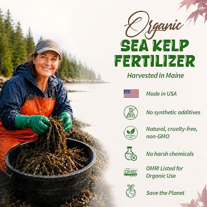 Japanese Maple Fertilizer