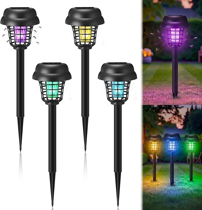 Purple & Colored Light