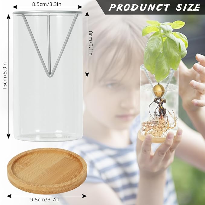 Silver-Growing Kits