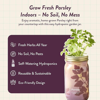 Parsley