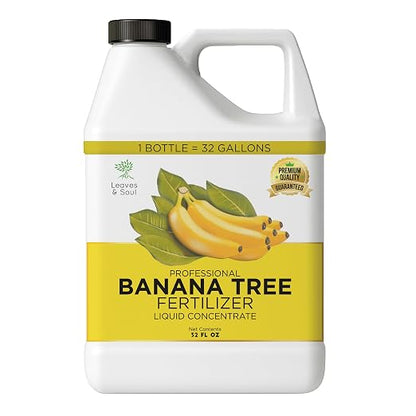 Banana Plant