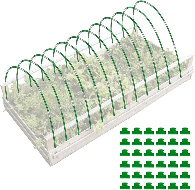 Green-72P