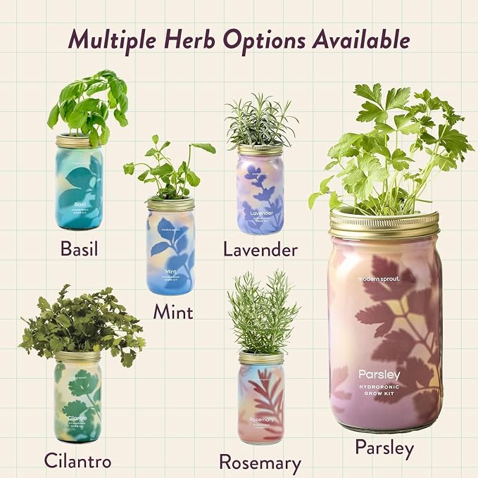 Parsley