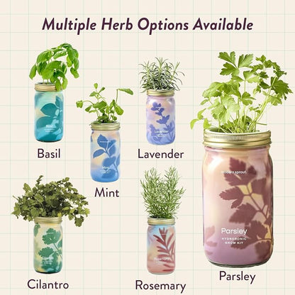 Parsley