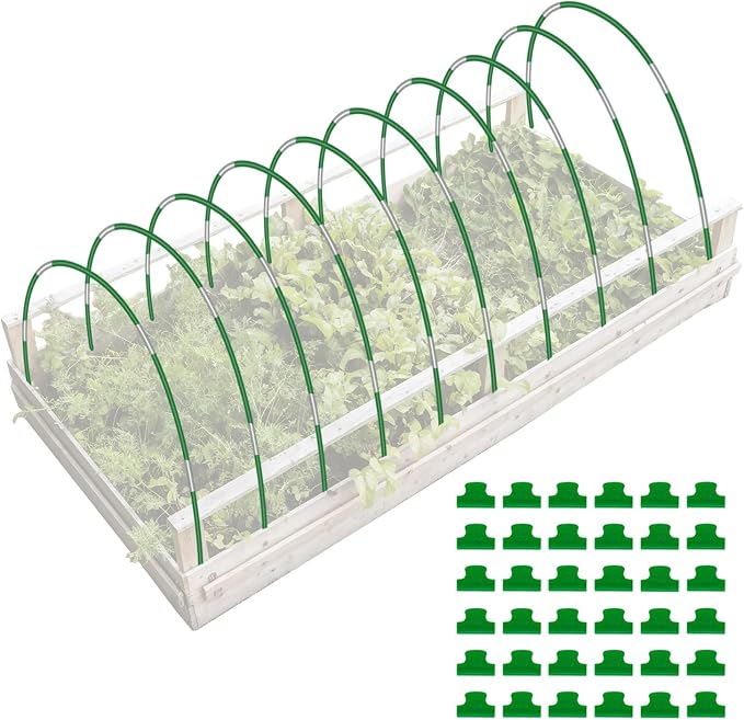 Green-50P