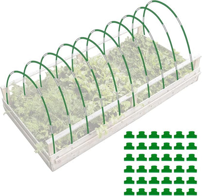 Green-50P