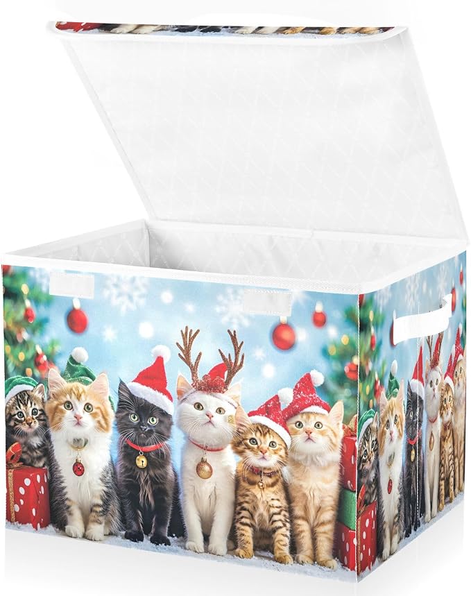 Christmas Cat 1