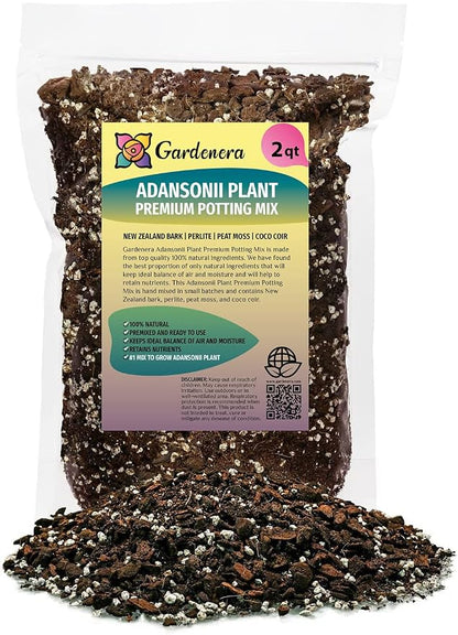 Monstera Adansonii Potting Mix