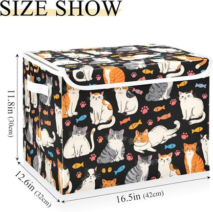 Black Orange Cat
