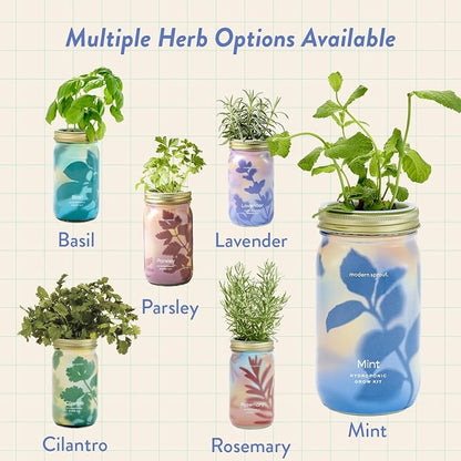 Mint