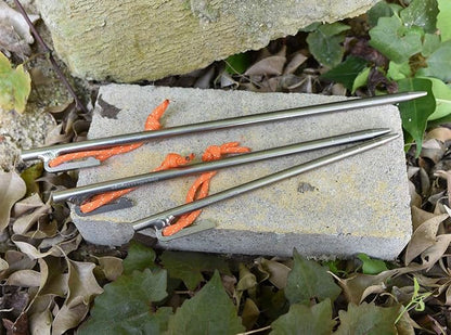 S- 6 pieces (20cm)