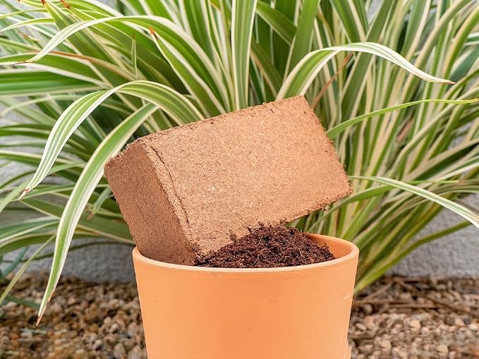 Coco - 650 g (2.4 Gallons) - 12 Pack