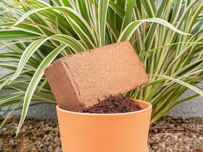 Coco - 650 g (2.4 Gallons) - 12 Pack