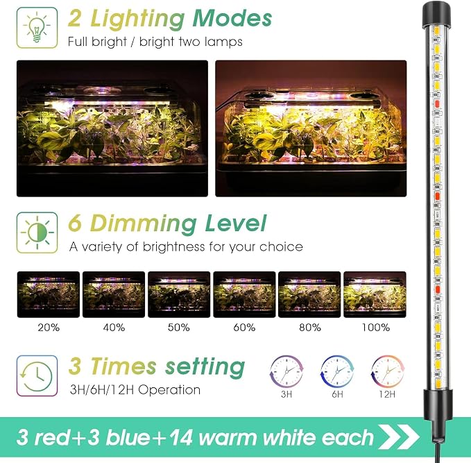 Green 4 Set